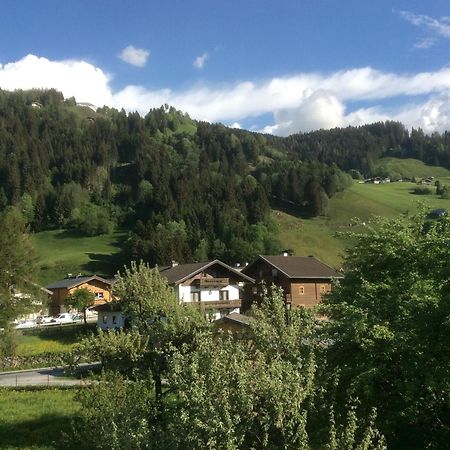 Kitzbuheler Alpen Penthouse Hollersbach Apartment Hollersbach im Pinzgau Luaran gambar