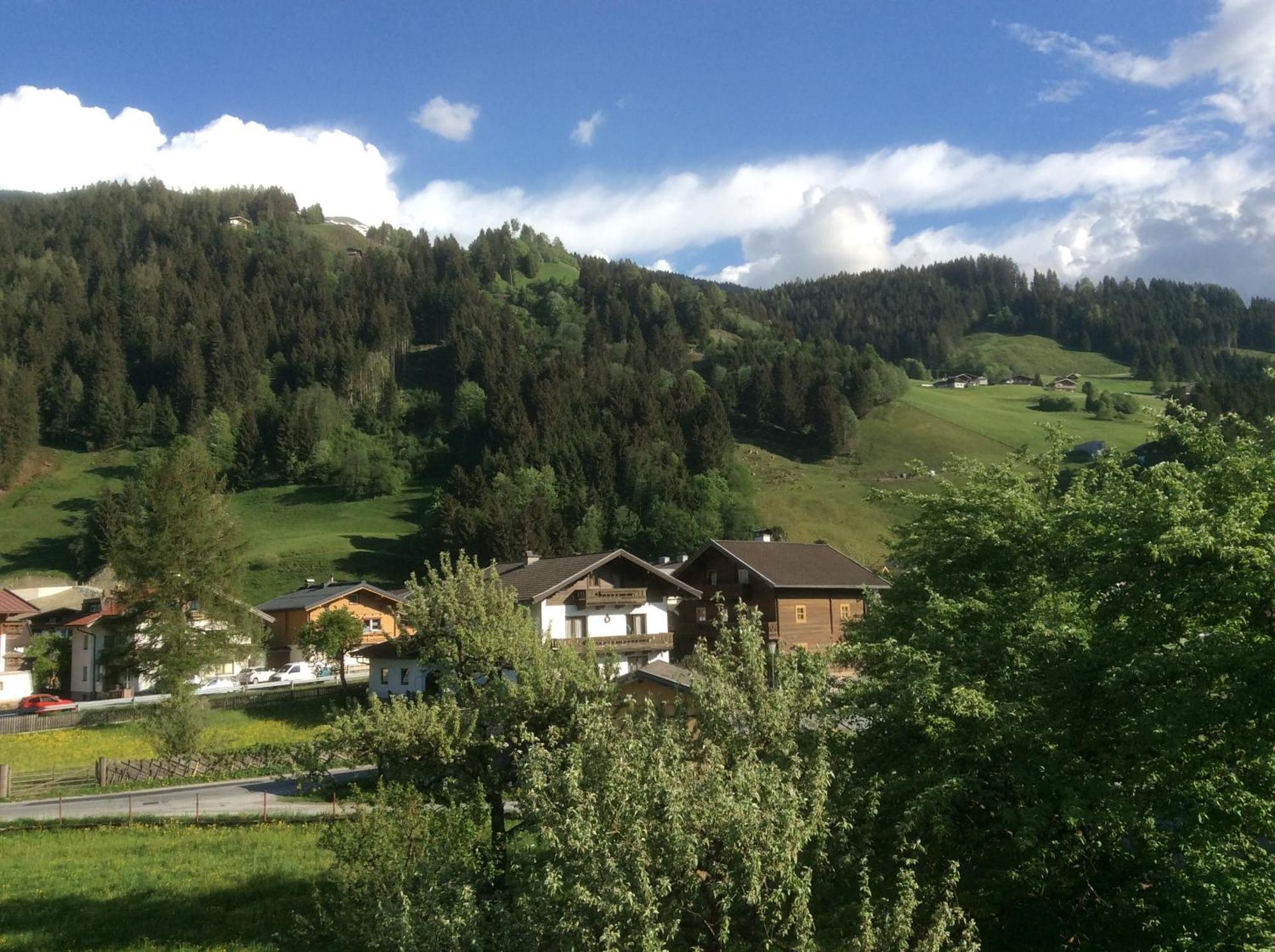 Kitzbuheler Alpen Penthouse Hollersbach Apartment Hollersbach im Pinzgau Luaran gambar