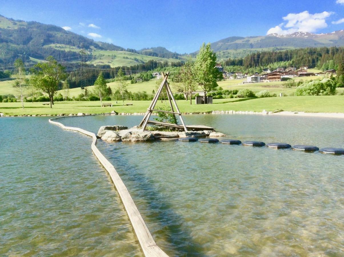 Kitzbuheler Alpen Penthouse Hollersbach Apartment Hollersbach im Pinzgau Luaran gambar